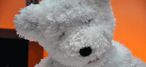 Sociale robot reageert op mensen