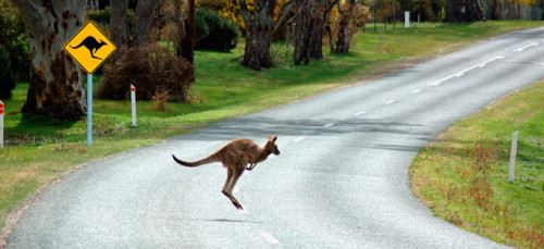 IT-platform vermindert regeldruk &lsquo;Down Under&rsquo;