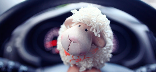 Vermoeide chauffeur krijgt signaal: &lsquo;even opletten!&rsquo;