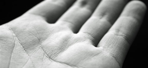 Palm Vein steeds kleiner, sneller en veiliger Palm Vein steeds kleiner, sneller en veiliger