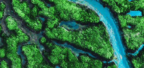 De roadmap van SLA naar XLA